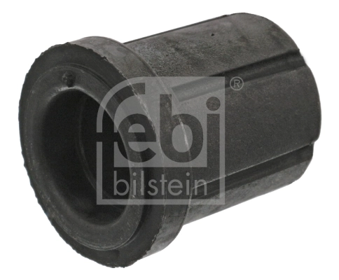 Bushing, leaf spring
